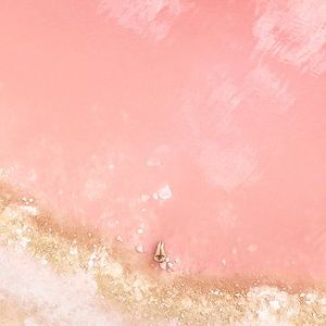 Meet your Posher, Macie